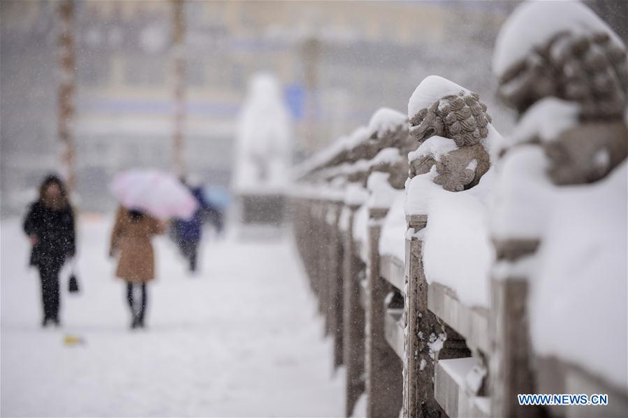 （城乡热点）（4）罕见暴雪&ldquo;袭击&rdquo;乌鲁木齐