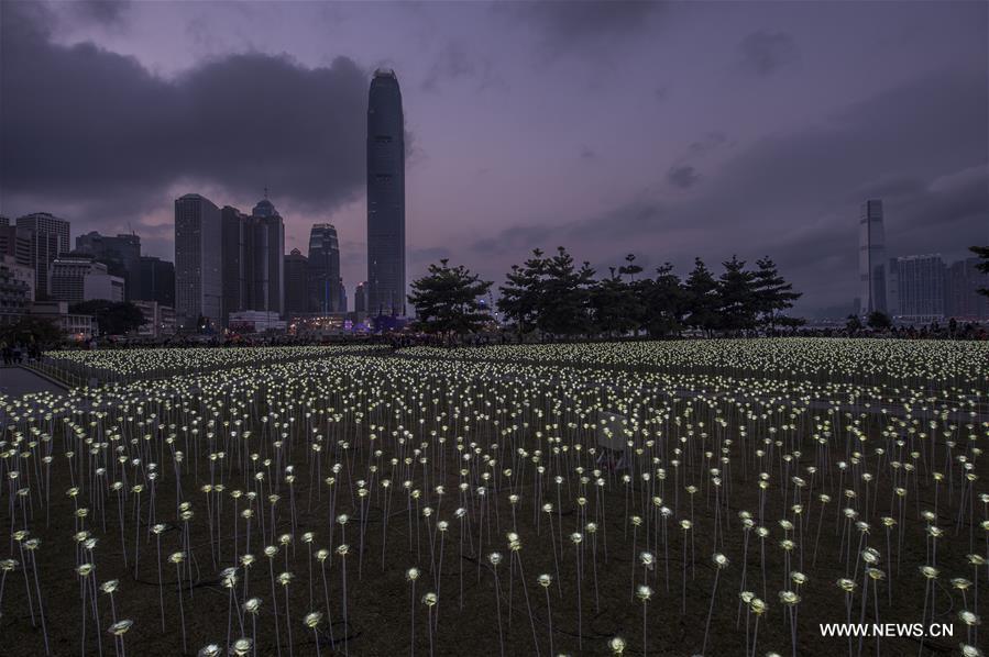 CHINA-HONG KONG-LIGHT-VALENTINE'S DAY (CN)