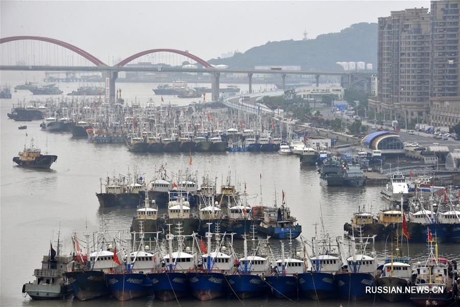 1 июня в Китае вступает в действие летний запрет на лов рыбы в заливе Бохай, Желтом и Восточно-Китайском морях