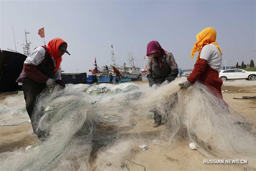 1 июня в Китае вступает в действие летний запрет на лов рыбы в заливе Бохай, Желтом и Восточно-Китайском морях