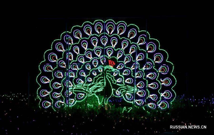 Фестиваль света в Линьфэне