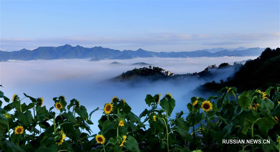 Туман в горах Хуаншань