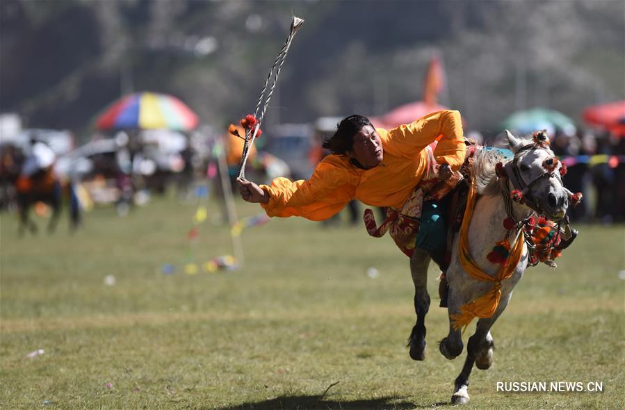 Народный спортивный праздник в степях провинции Цинхай