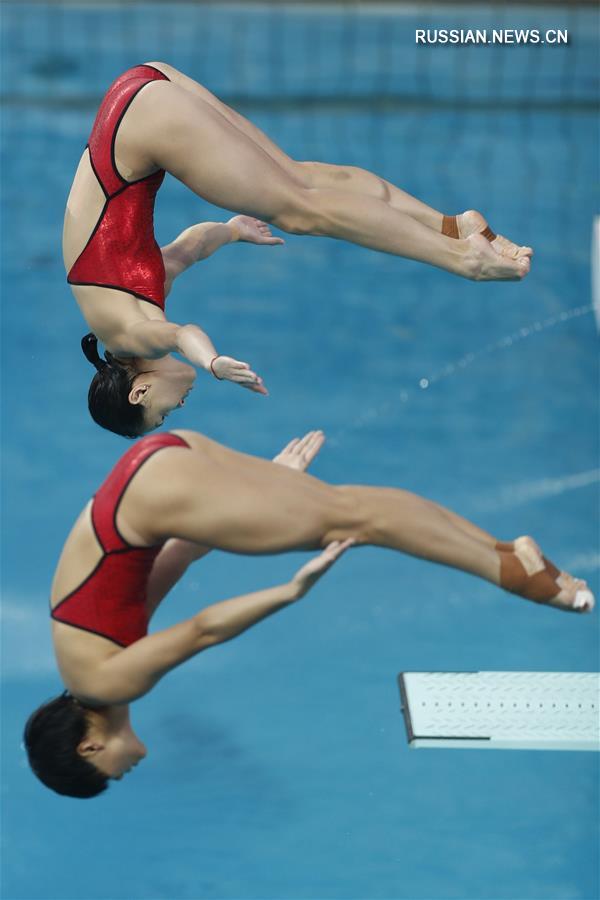 （里约奥运会）（6）跳水——女子双人三米板：吴敏霞和施廷懋夺冠
