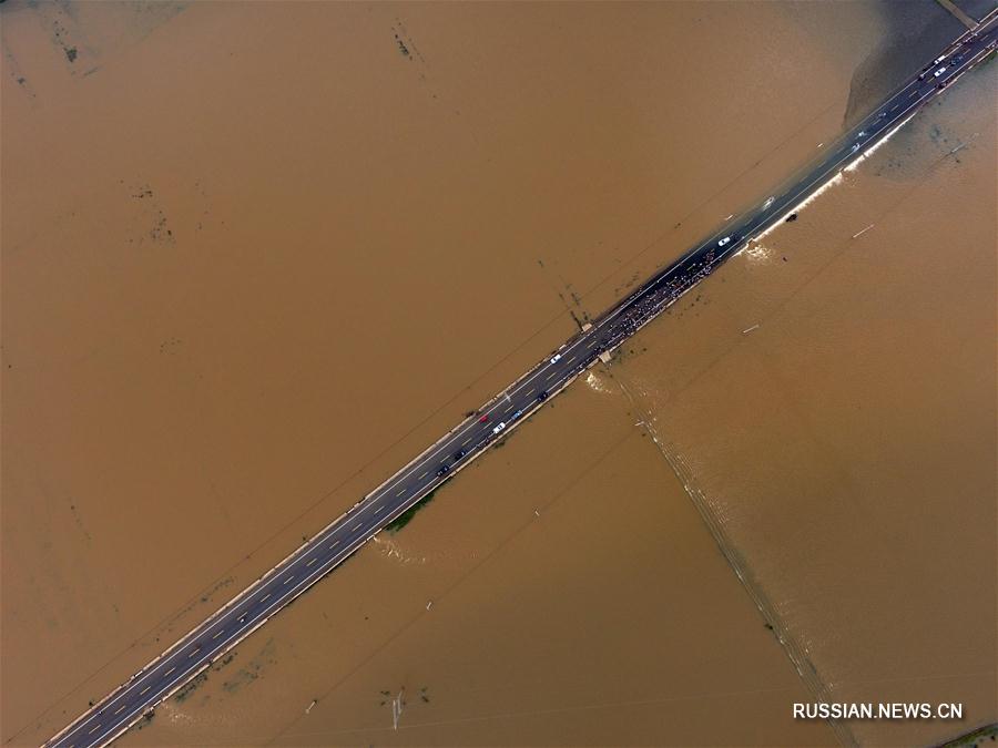 Проливные дожди нанесли большой ущерб провинции Хайнань