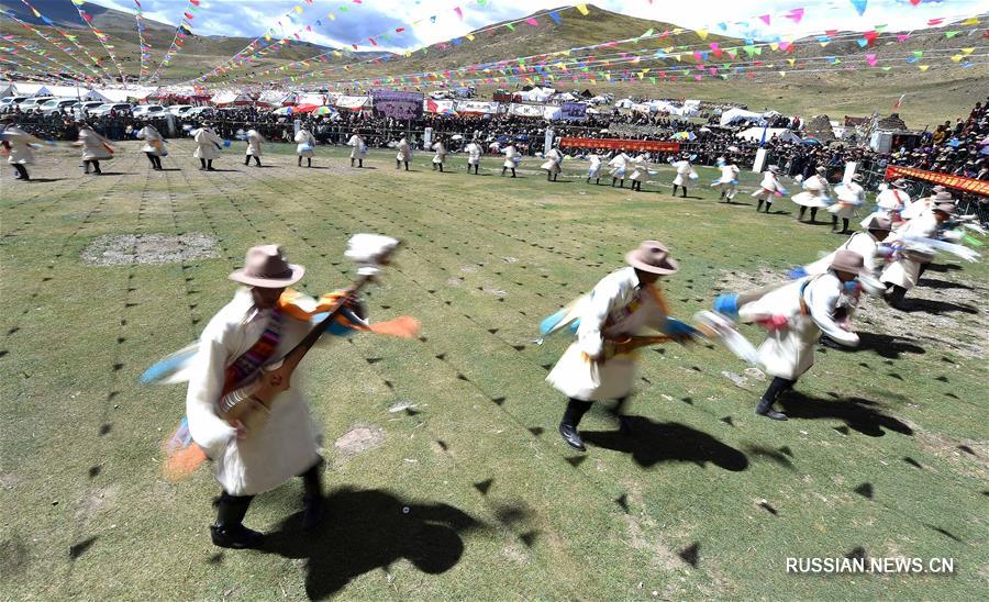 Бои яков в Тибетском АР