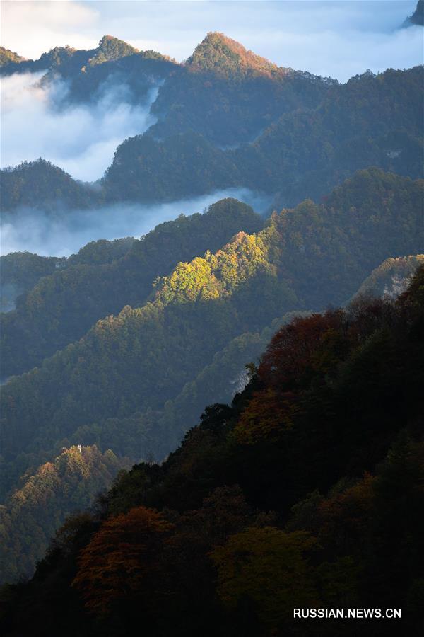 Рассвет в горах Хуалуншань 