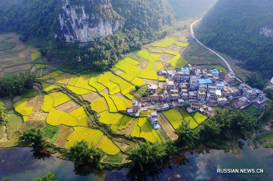 Осень в горной деревне народности мулао на юге Китая