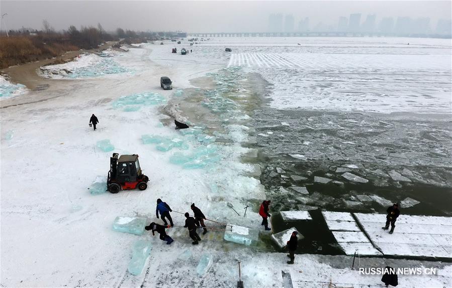 Сбор льда для "ледового мира" на реке Сунхуацзян в Харбине
