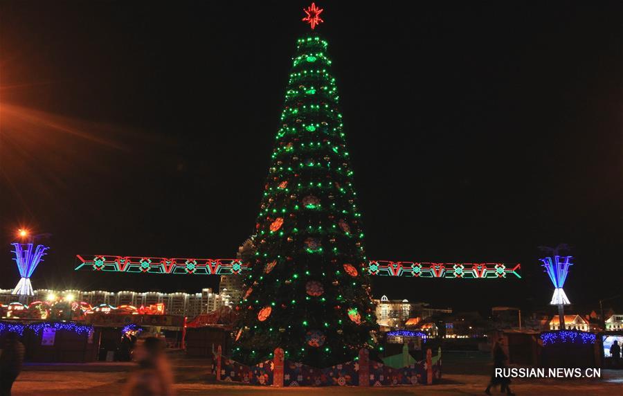 В Минске засверкали новогодние елки
