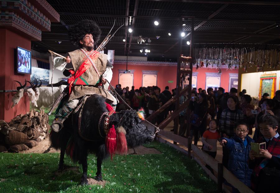 （文化）（2）《牦牛走进北京——高原牦牛文化展》在首博展出