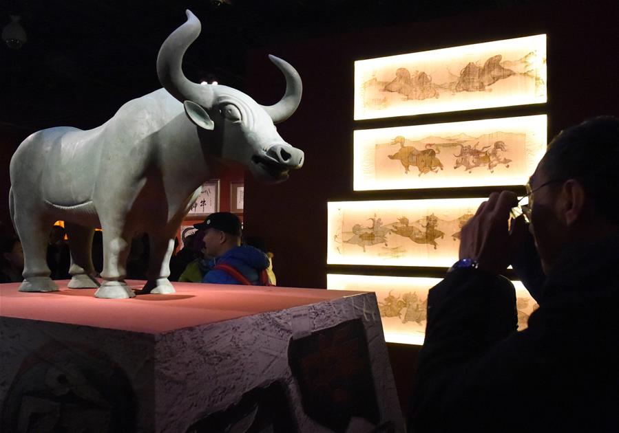 （文化）（5）《牦牛走进北京——高原牦牛文化展》在首博展出