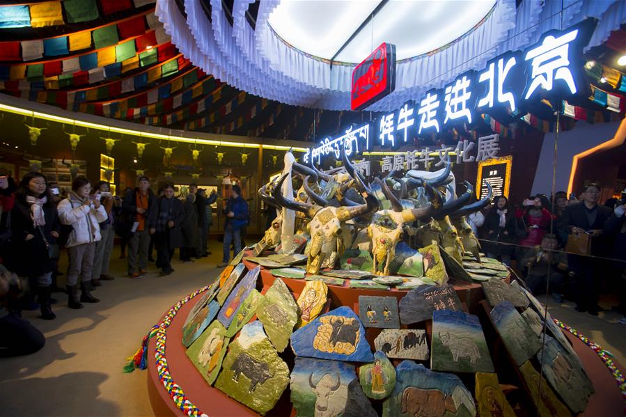 #（文化）（6）《牦牛走进北京——高原牦牛文化展》在首博展出