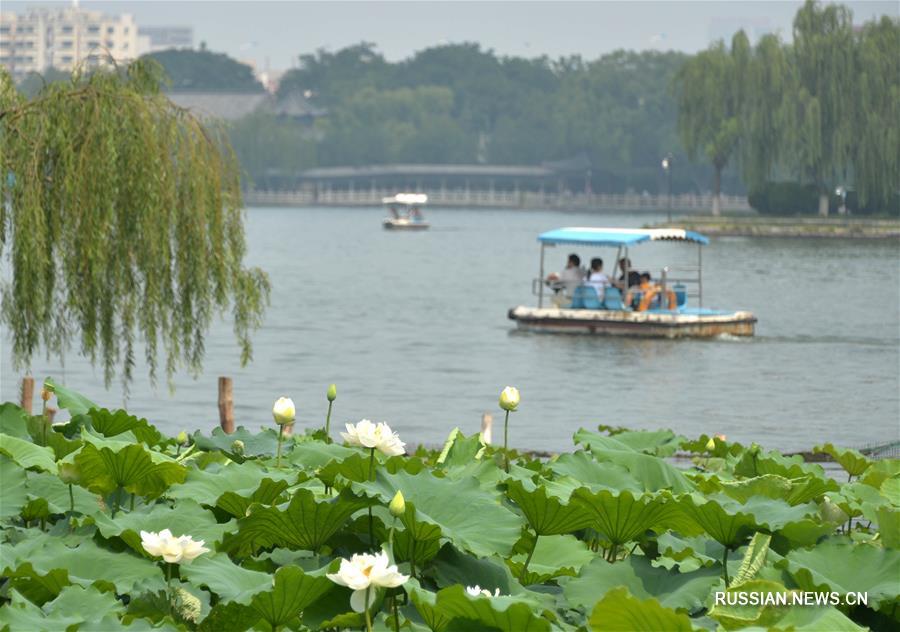 С 1 января 2017 года старая часть парка Даминху в Цзинане будет доступна для бесплатного посещения