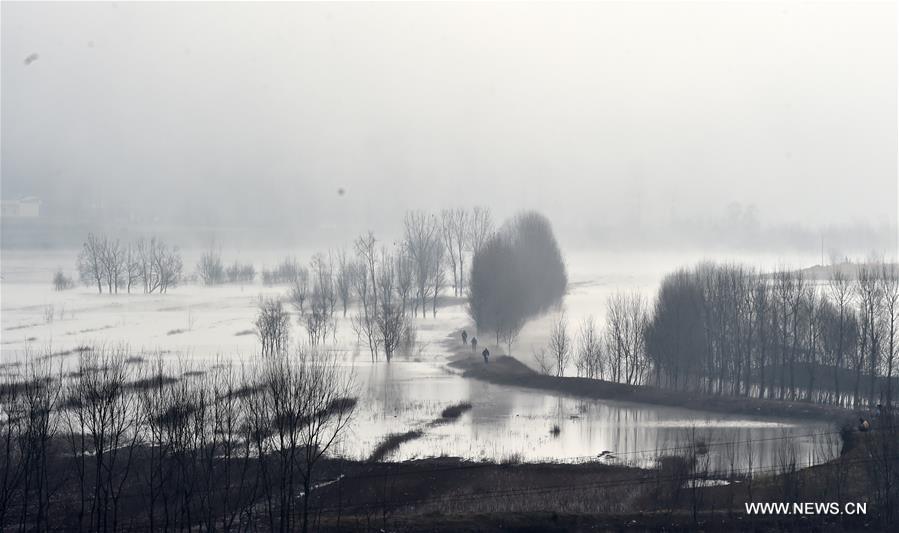 Зимний день над озером Няньху