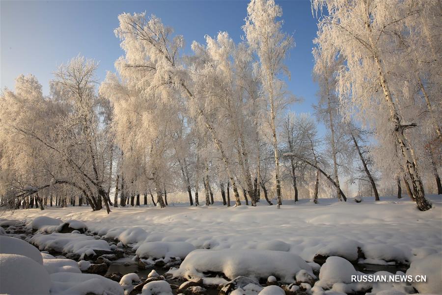 Зимняя сказка в округе Алтай