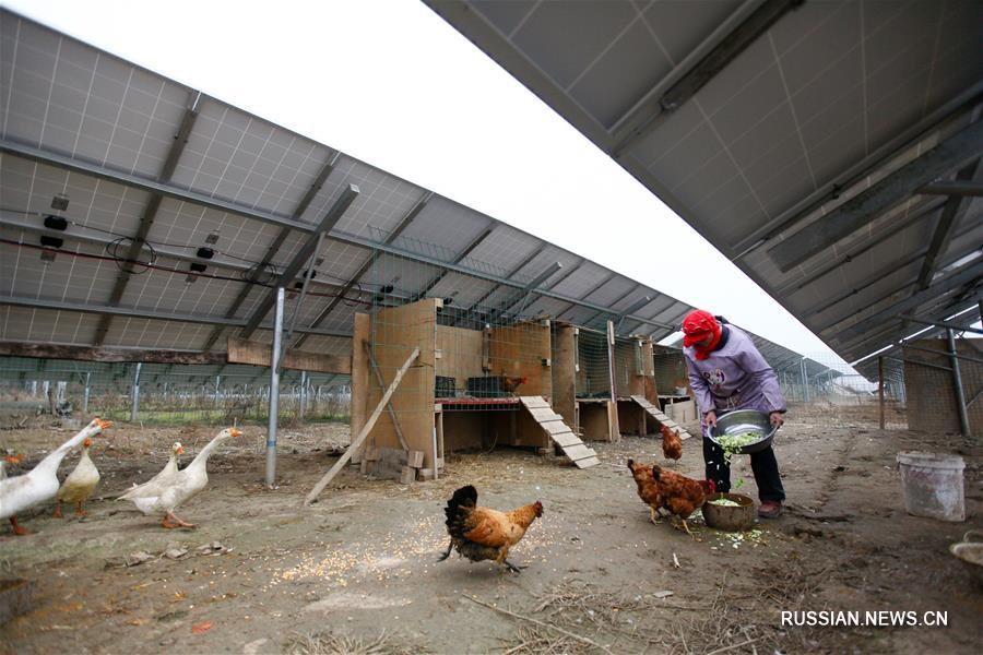 Завершение второй очереди проекта аграрно-энергетического сотрудничества в Шэньси