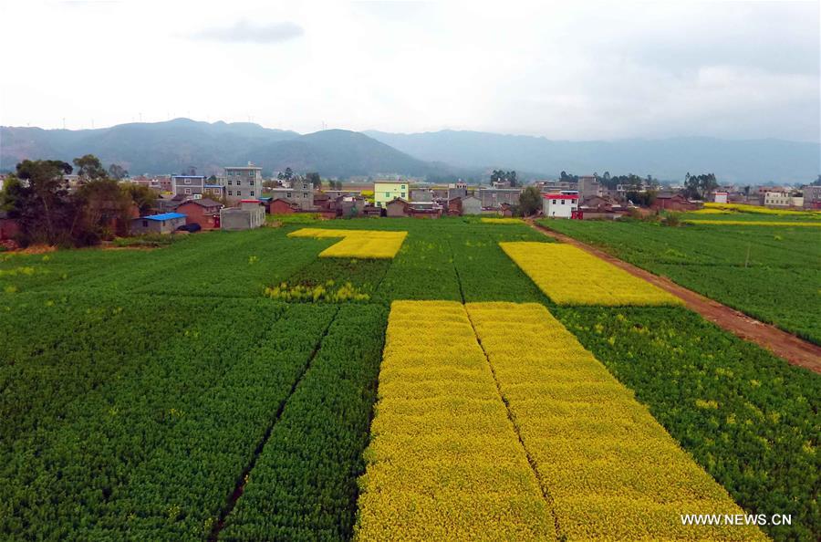 Весенние краски провинции Юньнань
