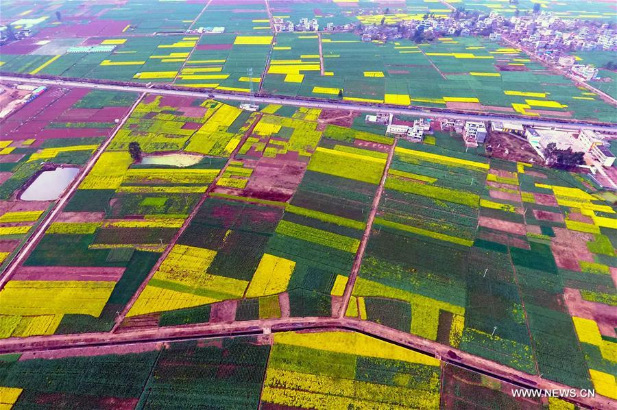 Весенние краски провинции Юньнань