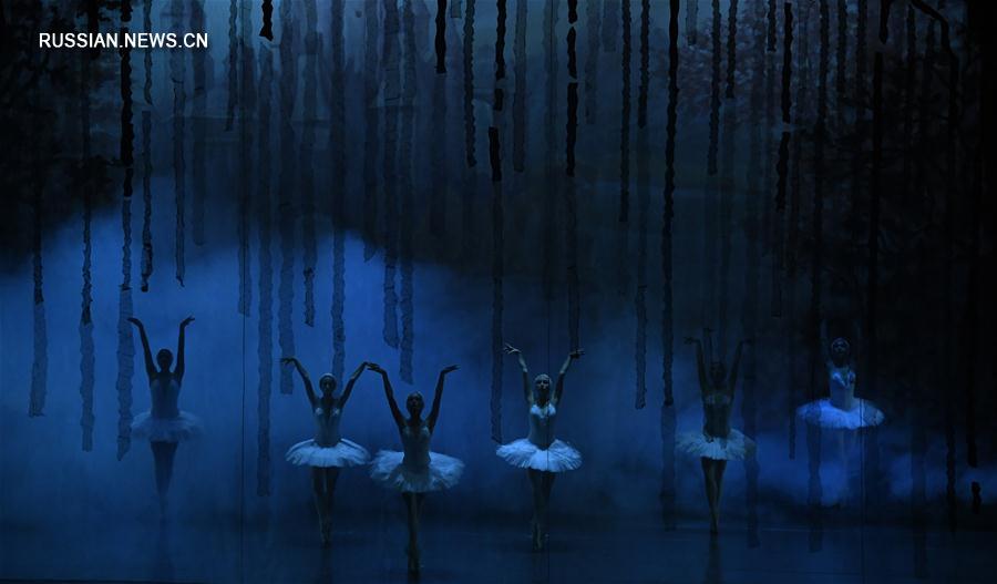 Спектакль "Лебединое озеро"  в исполнении звезд российского балета в Чжэнчжоу