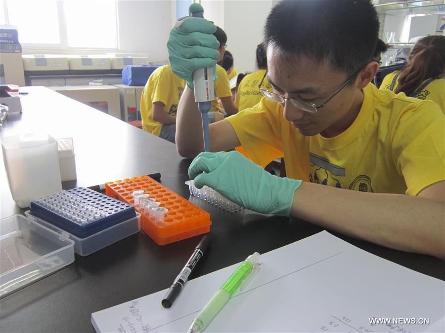 Китайские ученые создали искусственные хромосомы дрожжей
