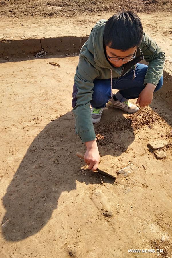 Второй этап работ начался на раскопках древнего поселения Хайфэн в провинции Хэбэй