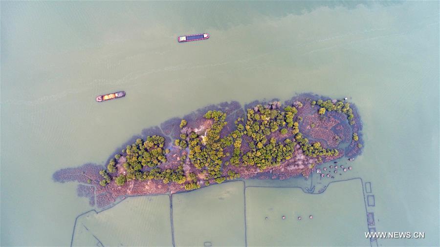 Остров-рыба на озере в провинции Цзянсу