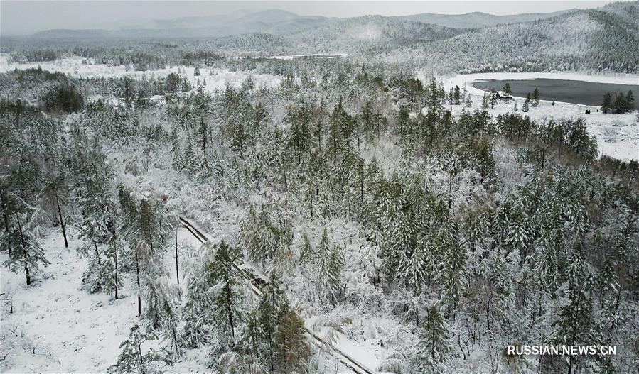 На севере Китая неожиданно выпал снег