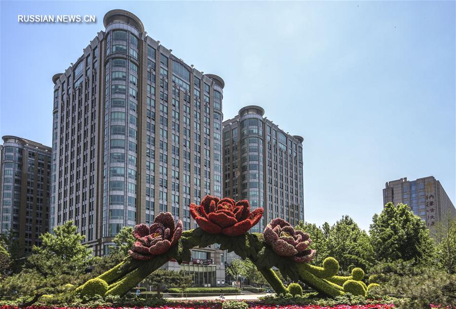 К международному форуму "Пояса и пути" Пекин украсился цветами 