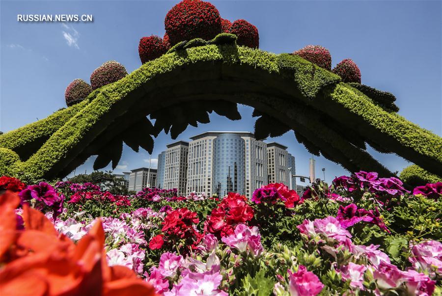 К международному форуму "Пояса и пути" Пекин украсился цветами 