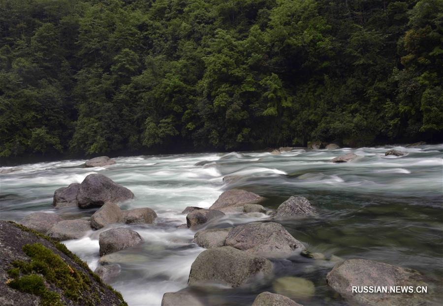 Волшебное ущелье реки Дулунцзян в Юньнани