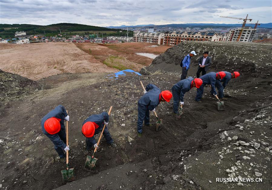 В провинции Цзилинь начались систематические раскопки на месте обнаружения окаменелых останков динозавров