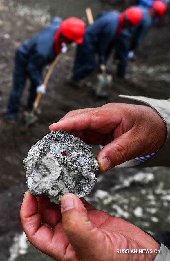 В провинции Цзилинь начались систематические раскопки на месте обнаружения окаменелых останков динозавров