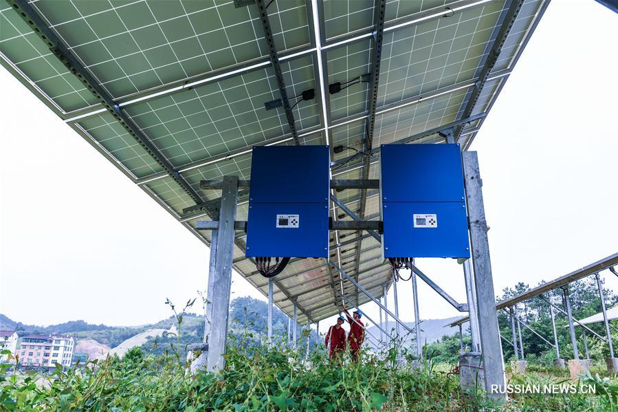 Солнечная энергетика в помощь фермерам провинции Чжэцзян
