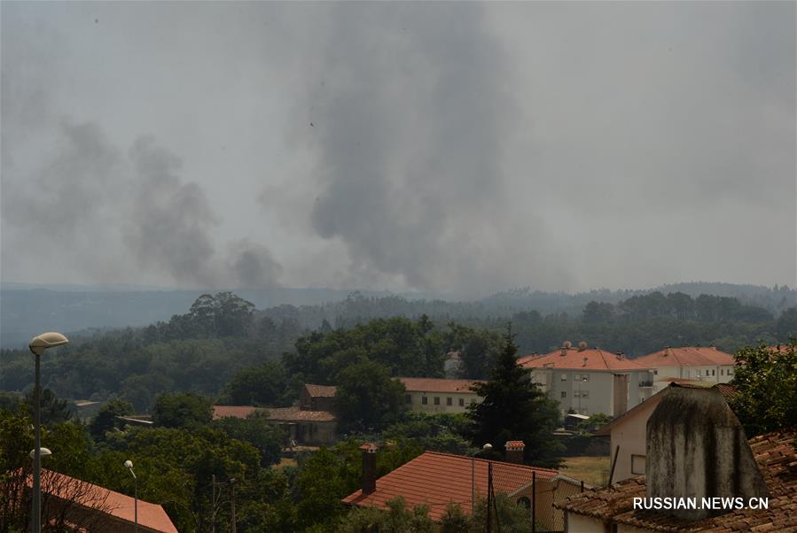 Как минимум 61 человек погиб в результате лесного пожара в Португалии