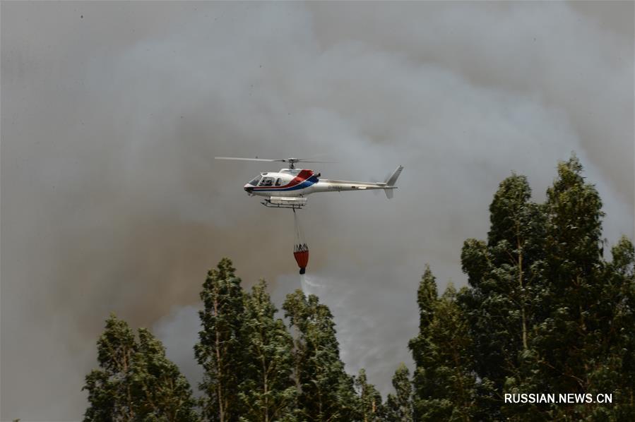 Как минимум 61 человек погиб в результате лесного пожара в Португалии