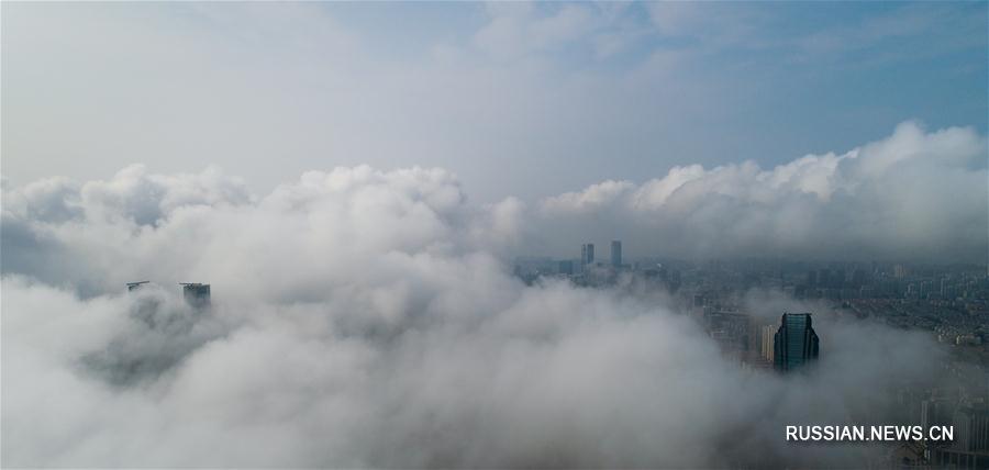 Туман над Циндао