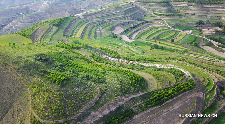 Террасные поля в провинции Ганьсу