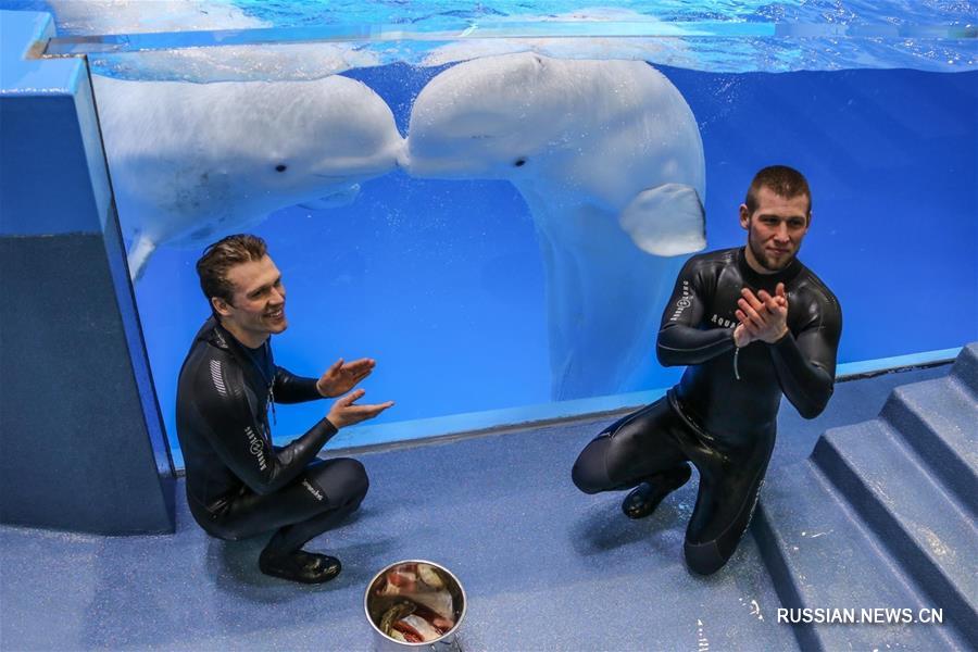 В июне Приморский океанариум принял рекордное число гостей