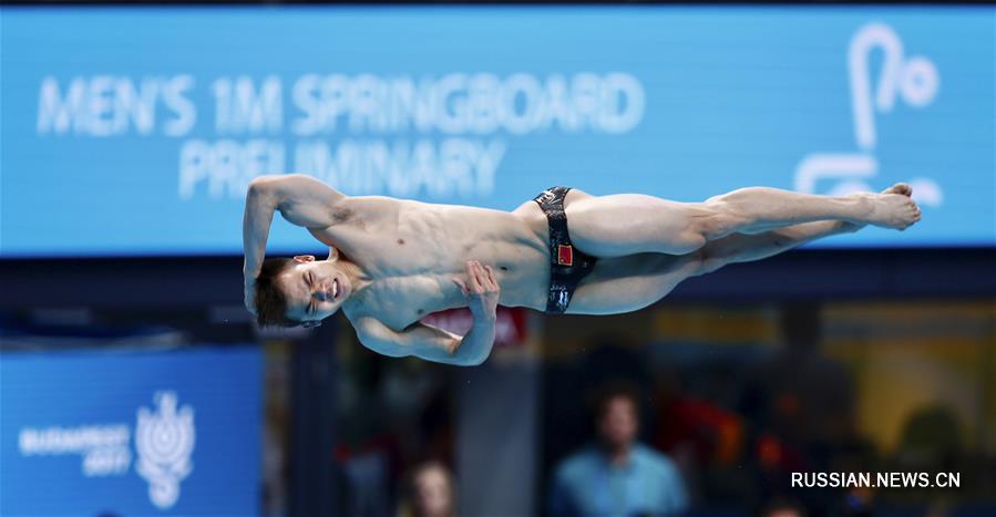 Прыжки в воду -- Чемпионат мира в Будапеште: обзор соревнований