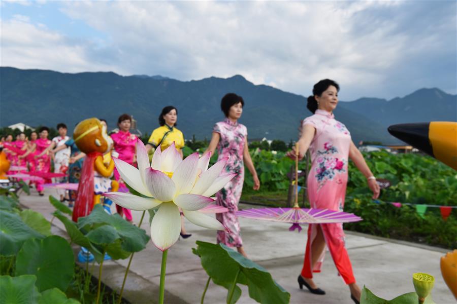 Шоу ципао среди цветущих лотосов в Мяньчжу