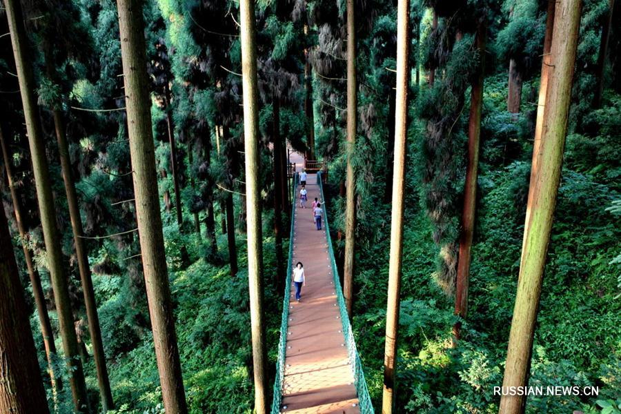 Жара в Китае