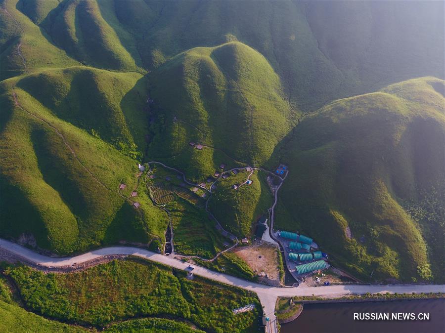 Высокогорные луга в провинции Фуцзянь