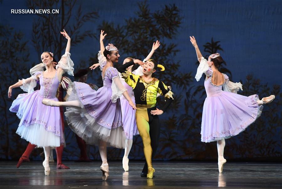 Харьковский театр оперы и балета дал спектакль "Лебединое озеро" в Синьцзяне 