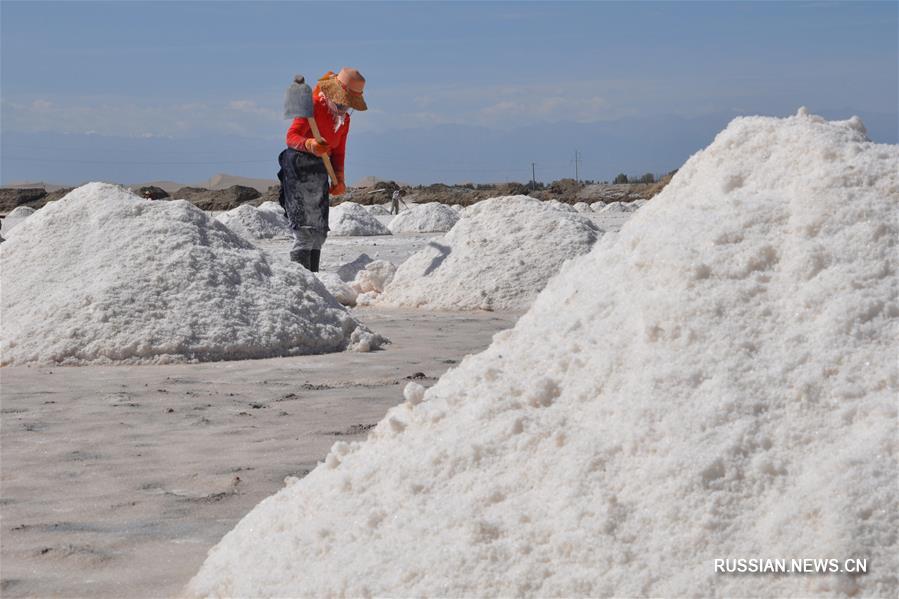 Добыча садочной соли в уезде Гаотай провинции Ганьсу