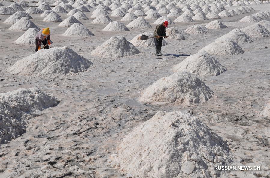 Добыча садочной соли в уезде Гаотай провинции Ганьсу