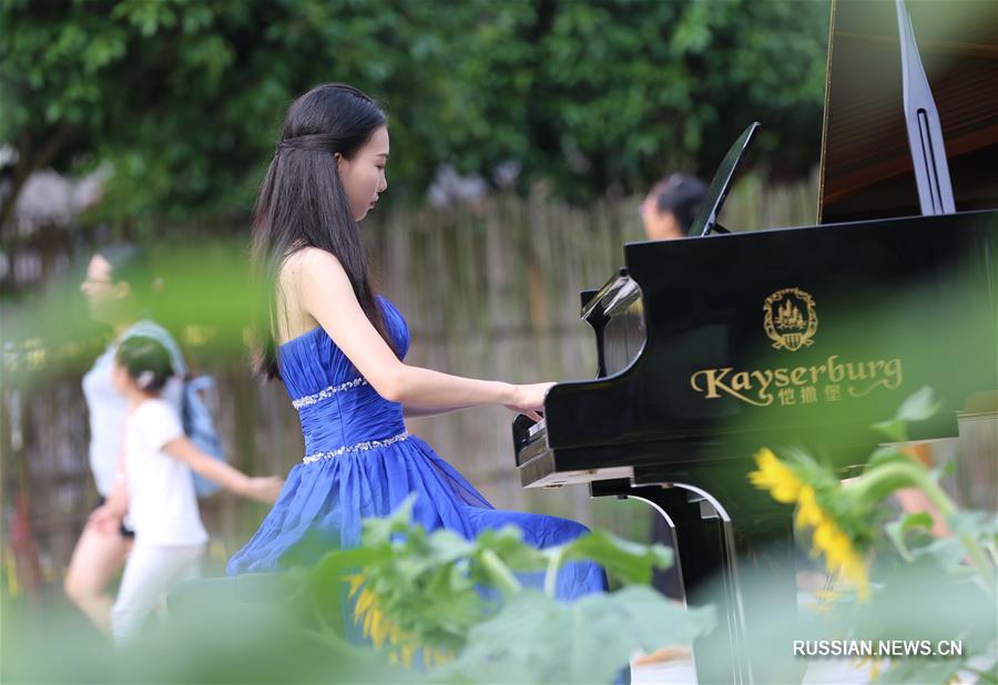 Фортепьянный концерт среди зеленых полей в Хунани
