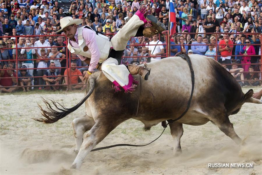 В Венгрии прошел чемпионат Центральной Европы по родео на быках