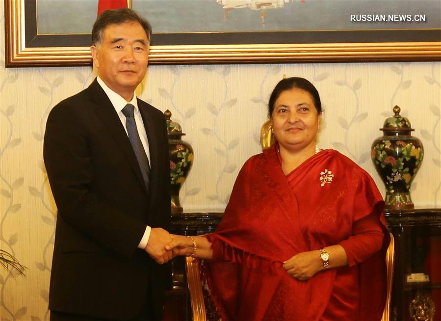 （XHDW）尼泊尔总统会见汪洋 