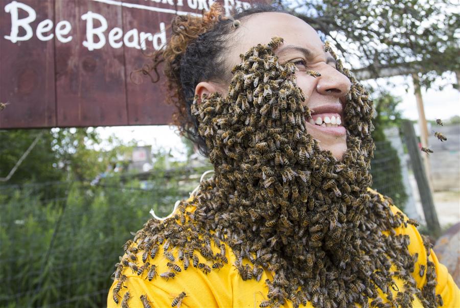 Конкурс на самую большую "пчелиную бороду" в канадском городе Эйлмер